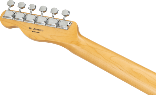 Limited Telecaster Indigo Paisley5